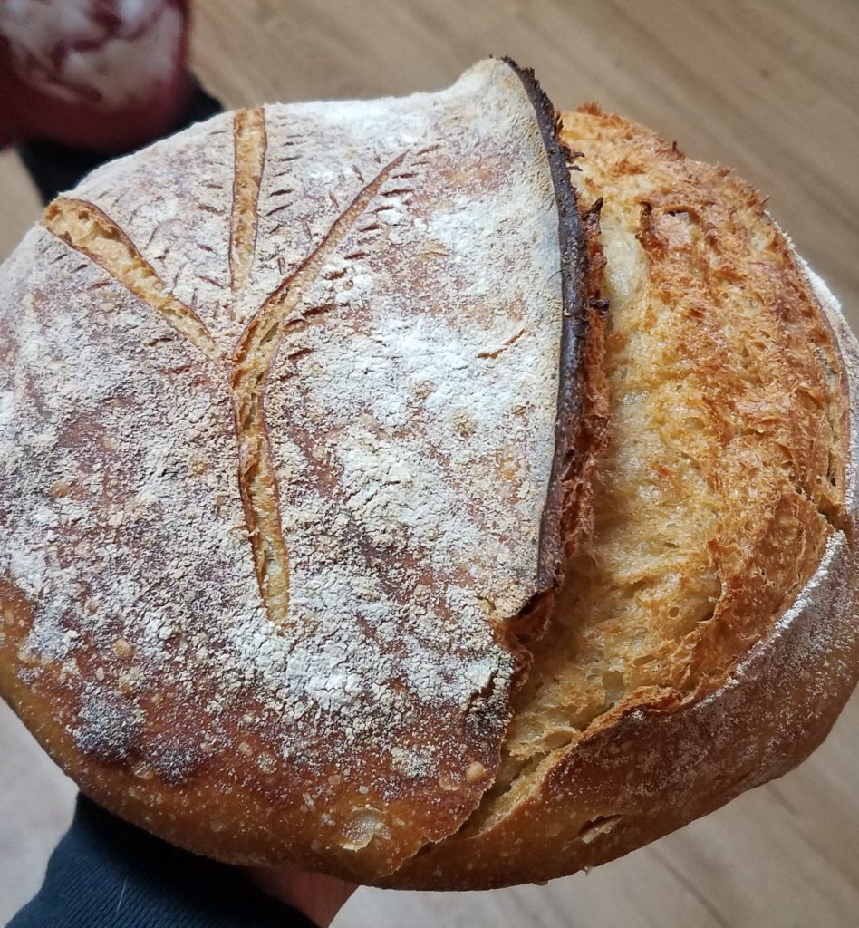 mostly einkorn sourdough boule