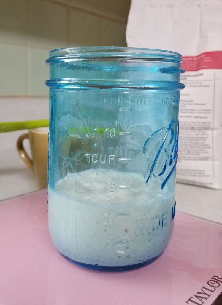 small sourdough starter in blue mason jar